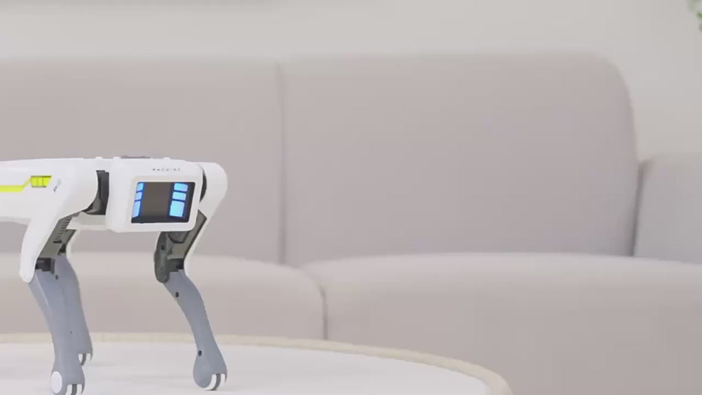 AI RC Robot Dog