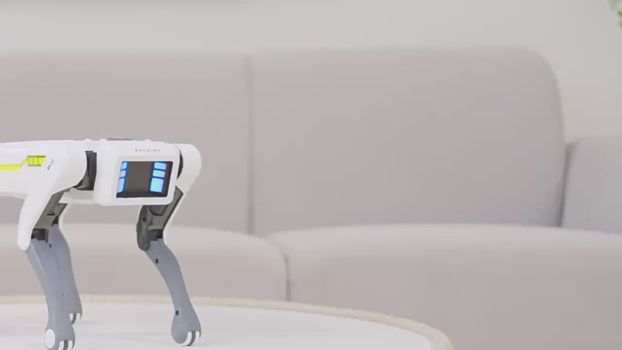 AI RC Robot Dog